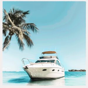 boat rental 29